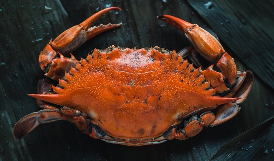 Ever heard of Astaxanthin? If not, it is about time!