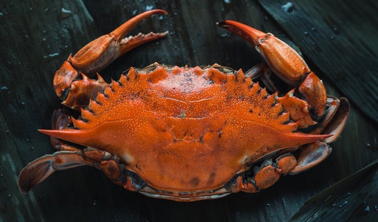 Ever heard of Astaxanthin? If not, it is about time!